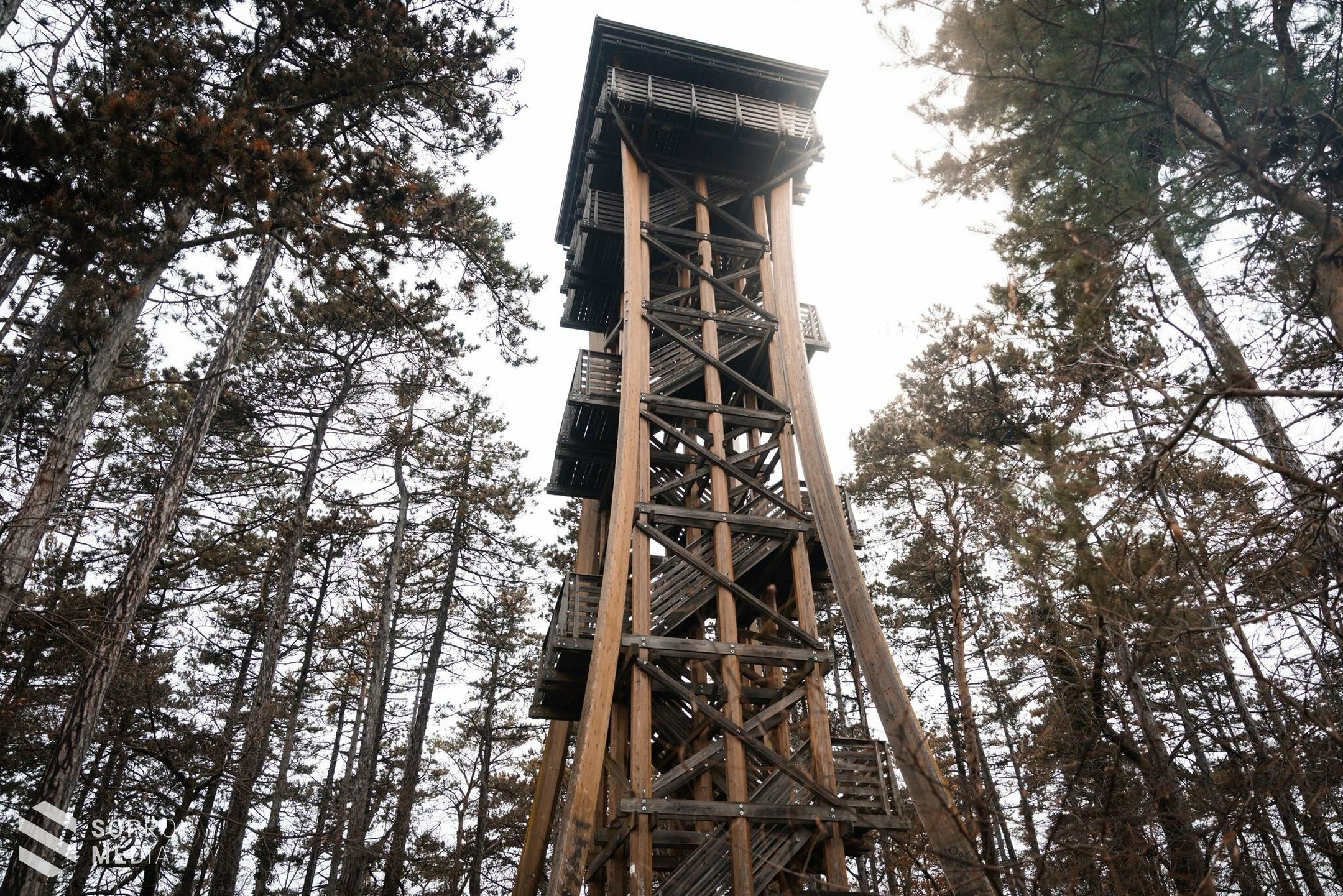 20 éves a Sörházdombi kilátó