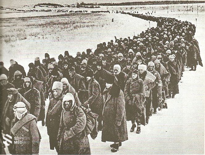 Német, olasz, román és magyar hadifoglyok, 1943 