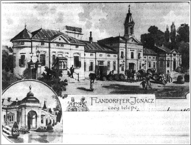 Flandorffer Ignác pincegazdasága a Flandorffer (ma Táncsics) utcában 