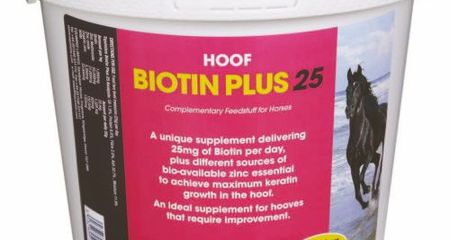 EQUIMINS BIOTIN PLUS  – 25 mg / adag biotin tartalommal vödrös 3kg