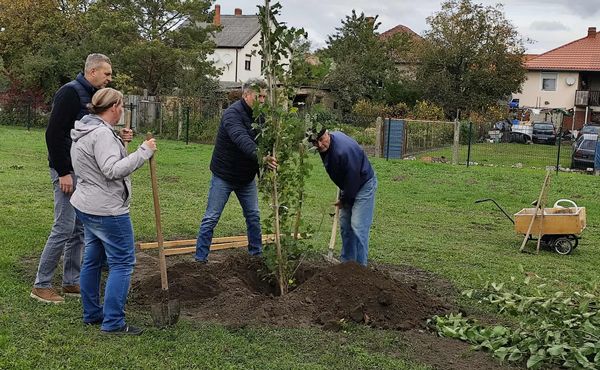 I. KÓNYI CIVIL NAP, 2025. október 11.