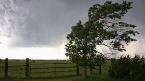 Elsőfokú riasztást adott ki erős szél veszélye miatt a HugaroMet