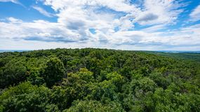Március huszonegyedike az erdők világnapja