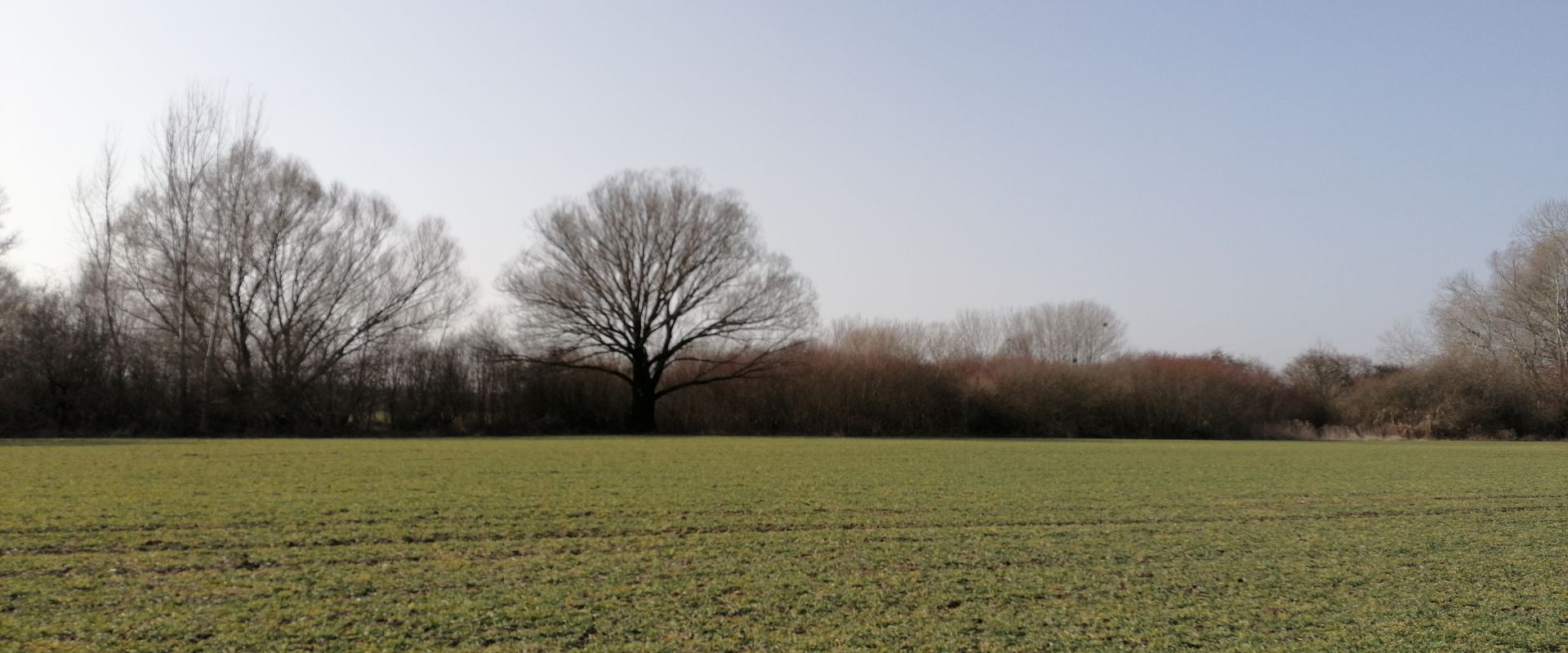 Agrofil-SZMI Kft.