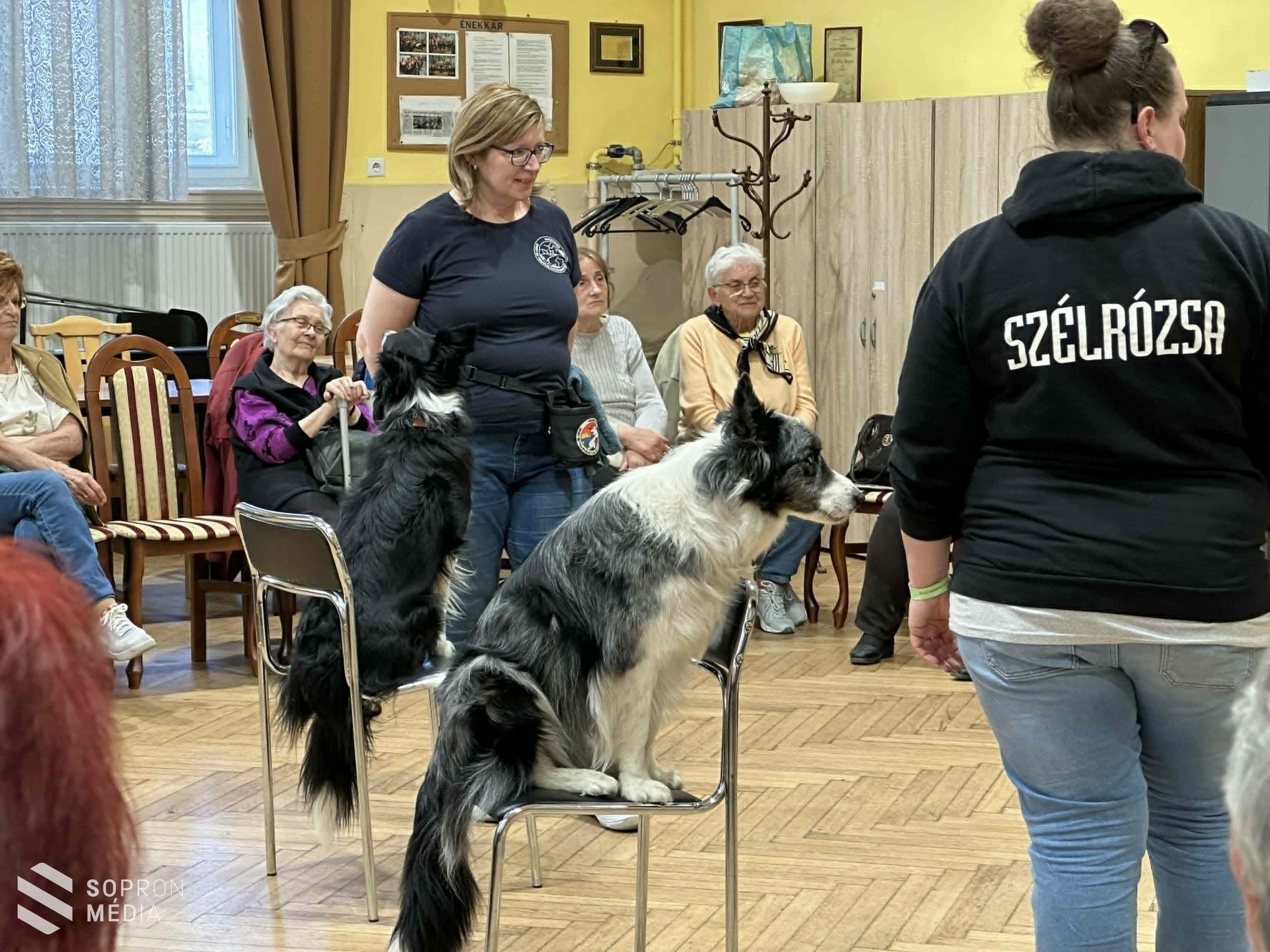 Terápiás kutyák látogattak el a nyugdíjas klub tagjaihoz