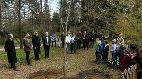 Az év fájának választott vénic-szillel bővült a Soproni Egyetem botanikus kertje