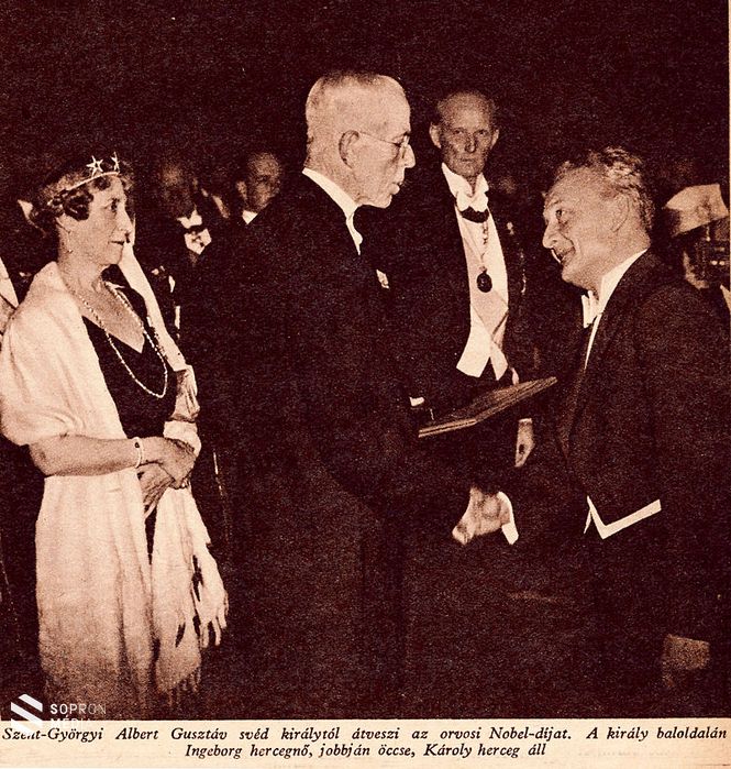 Szent-Györgyi Albert átveszi a Nobel-díjat 
