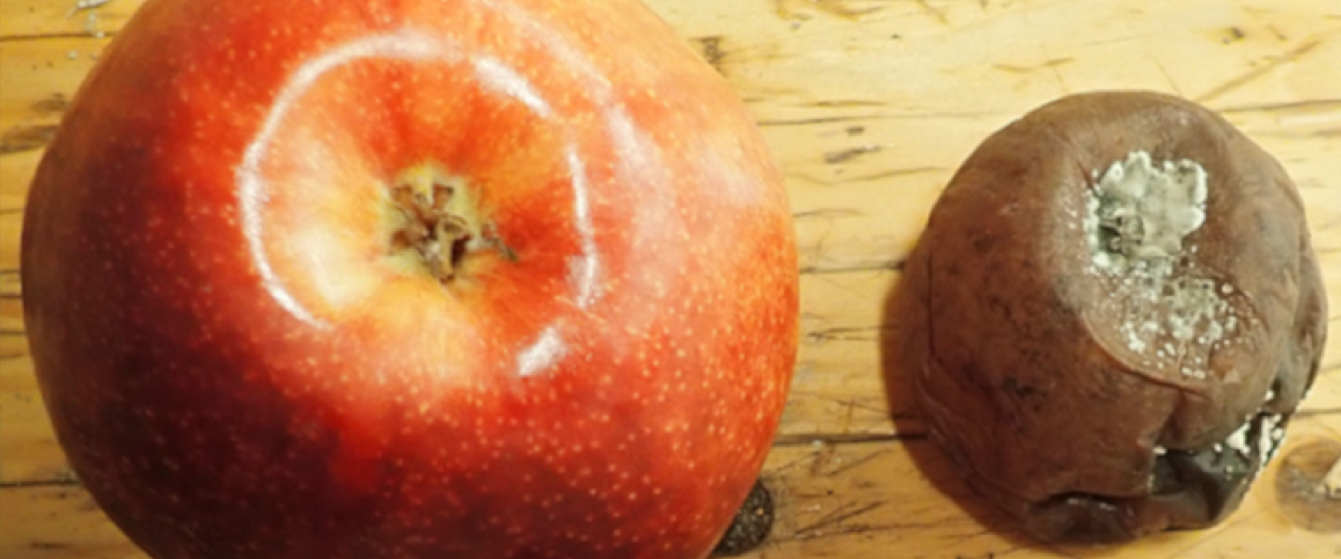 Agrofil-SZMI Kft.