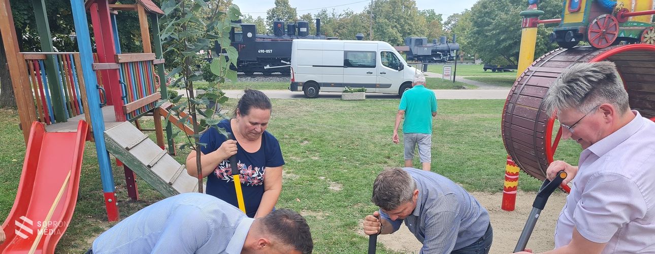 GYSEV jubileum – 150 fát ültet el vonalhálózata mentén a vasúttársaság