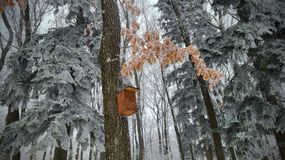 A Kuruc-domb volt az ország leghidegebb pontja