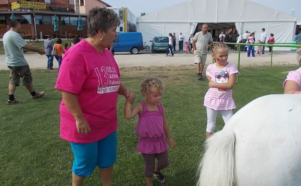 24. Falunap 2013. augusztus 10.