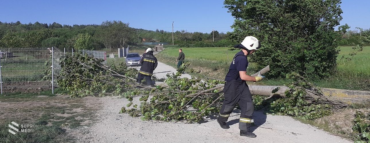 Viharos szél: Sopronban ötször volt szükség a tűzoltók beavatkozására