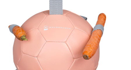 LÓLABDA WALDHAUSEN CARROT