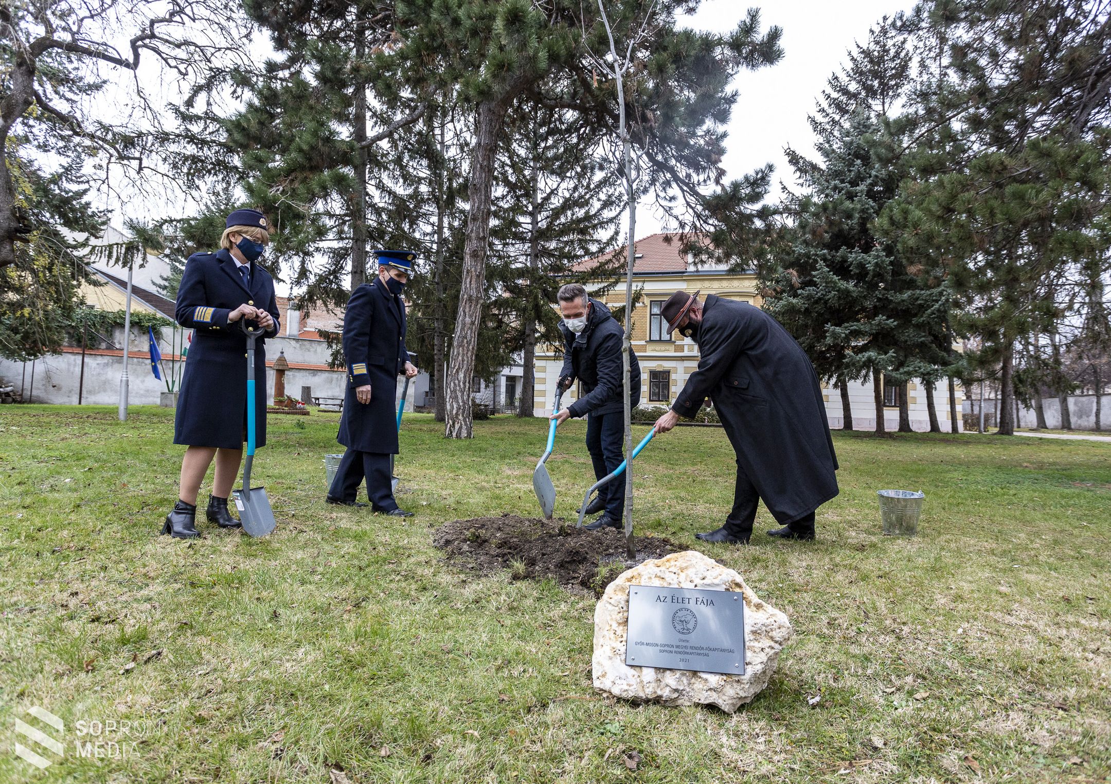 Az élet fáját ültették el Sopronban!