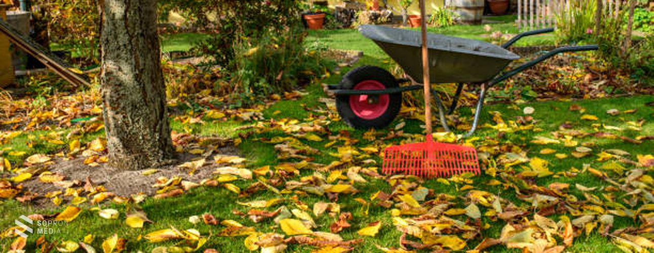 Készítsük fel a kertet a hűvösebb napokra!