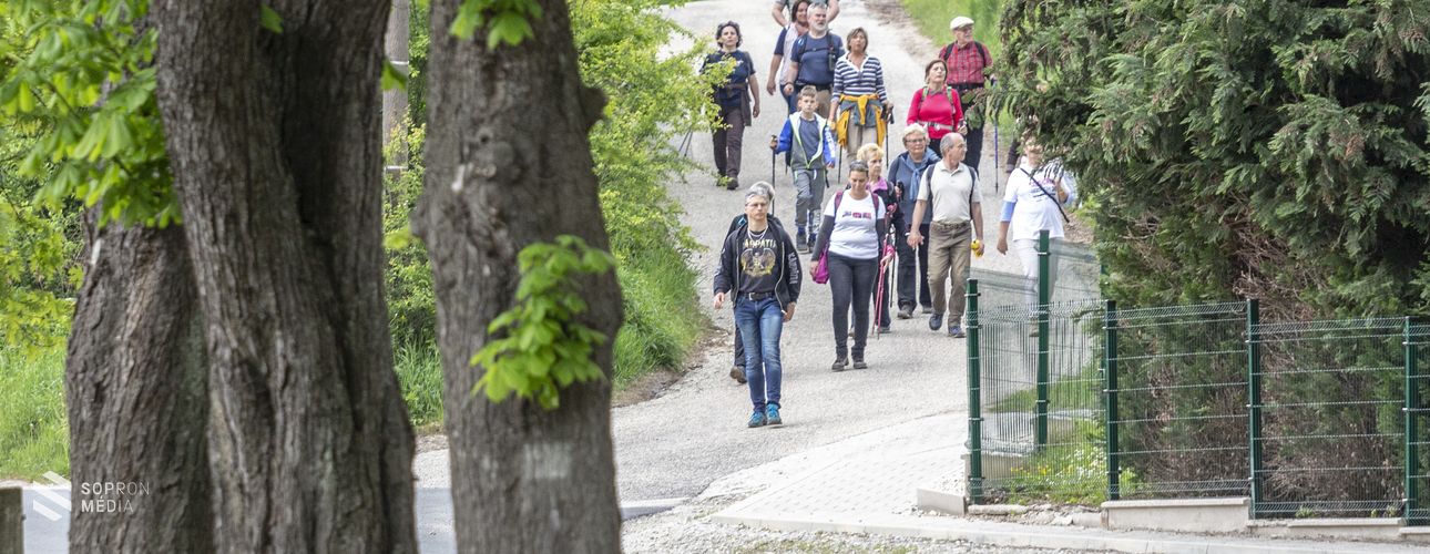 8 kilométeres túra az ezeréves határon