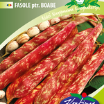 Étkezési tarkabab Taylor 50 g (Rocco tip.) termék képe