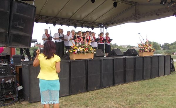 24. Falunap 2013. augusztus 10.