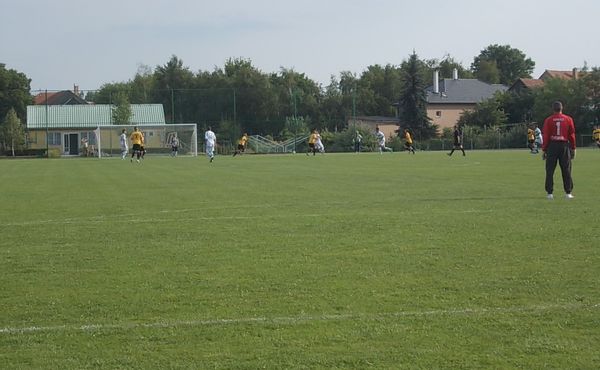 24. Falunap 2013. augusztus 10.