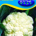 Karfiol Octavian (őszi) 0,5 g termék képe