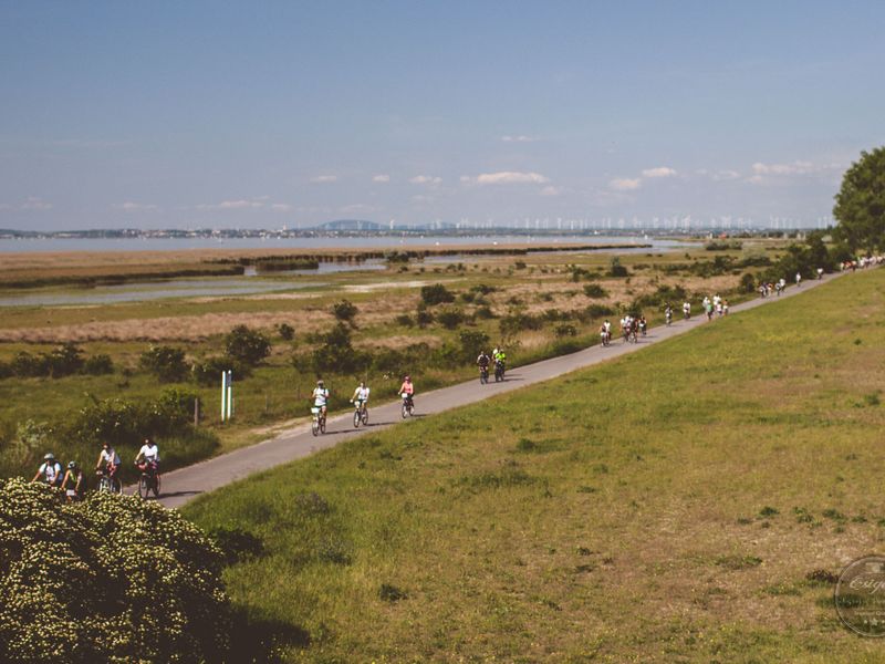 Fertő tó kör 2016