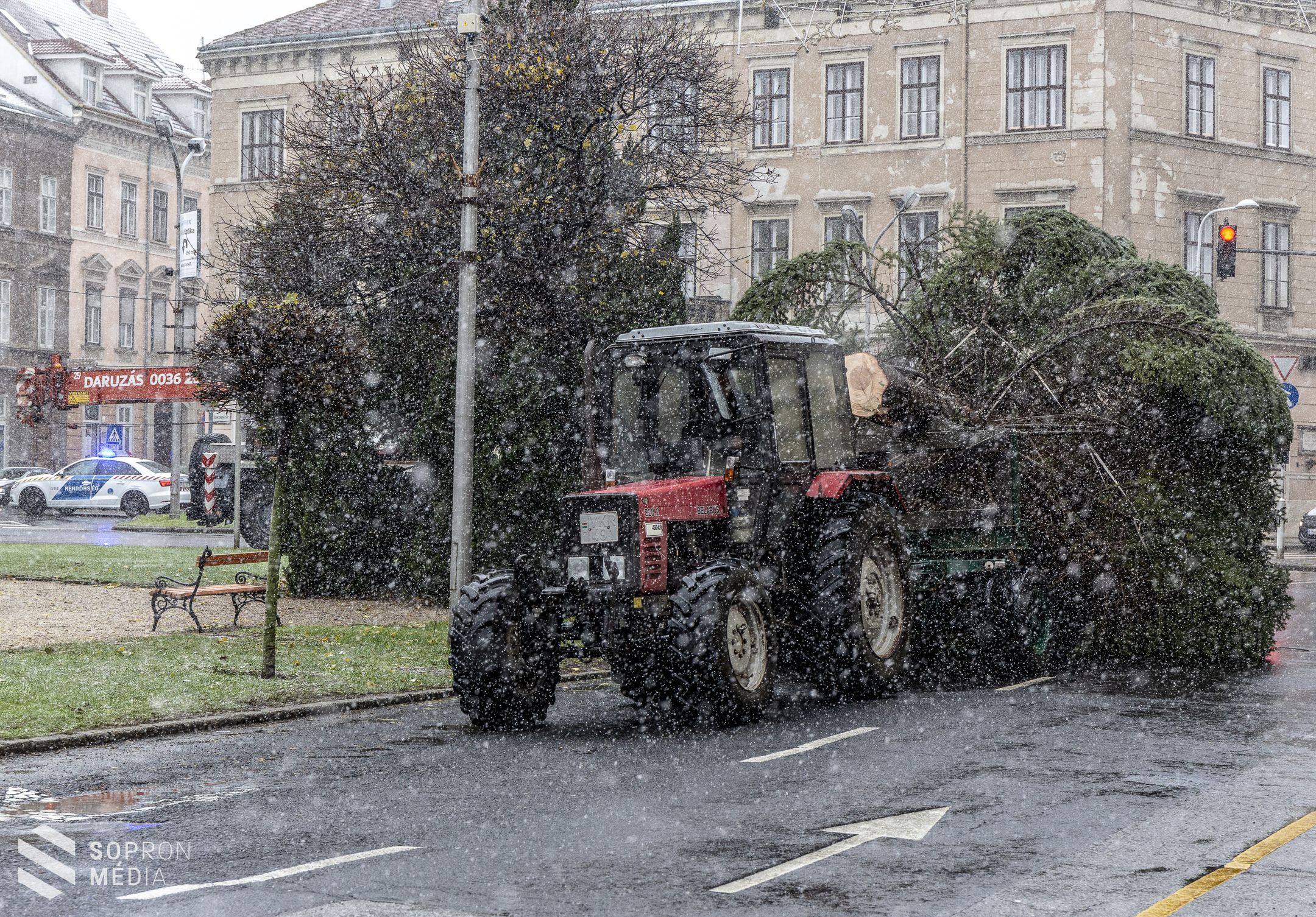 Már a Fő téren van Sopron karácsonyfája!