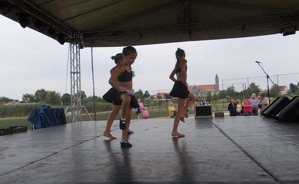 24. Falunap 2013. augusztus 10.
