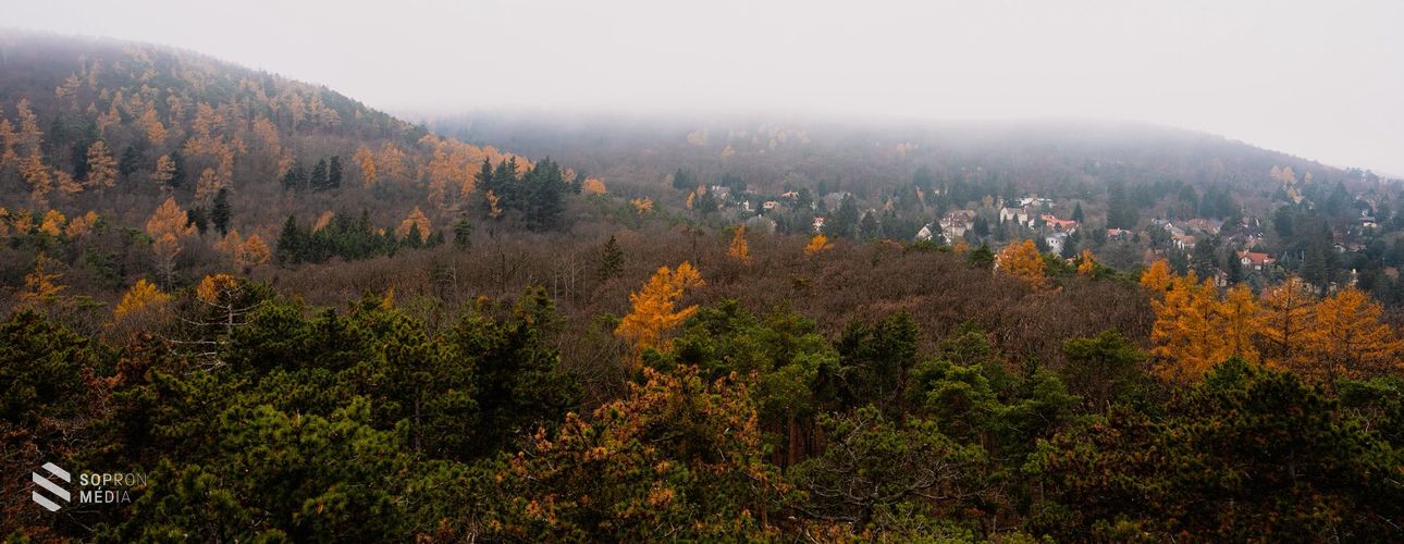20 éves a Sörházdombi kilátó