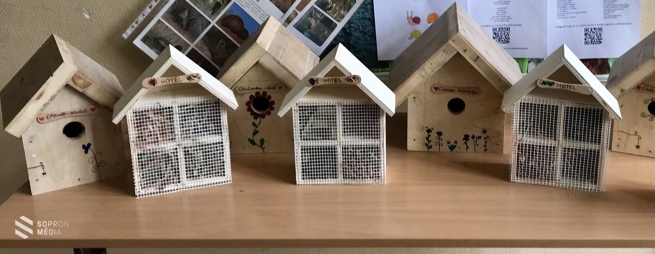 Állatvédelmi témahét a Tóth Antal EGYMI-ben