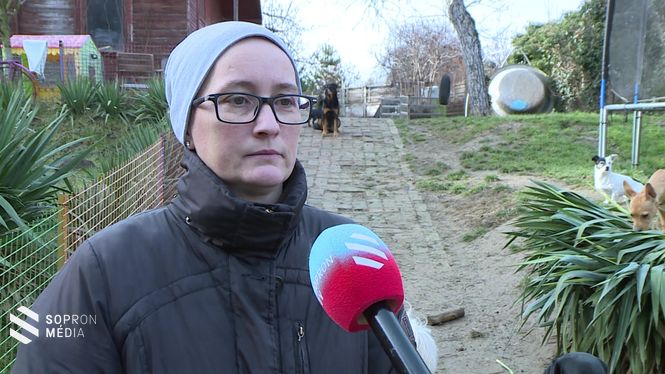 Tölli-Molnár Beáta, a Nektek Ugatunk Állatvédő Egyesület elnöke