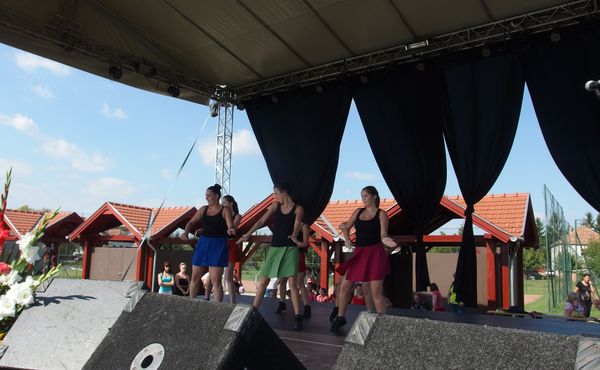 25. Falunap 2014. augusztus 9.