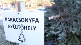 Ezeket a karácsonyfa-gyűjtőhelyeket jelölte ki a Sopron Holding idén