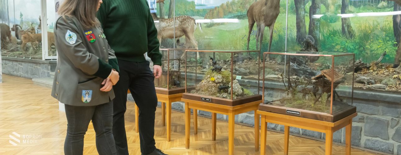 Megújult a vadászattörténeti kiállítás a Soproni Egyetemen