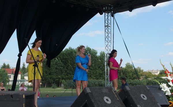 25. Falunap 2014. augusztus 9.