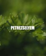 Petrezselyem