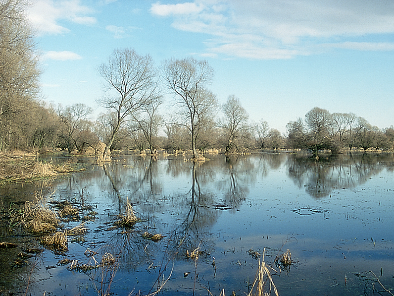A Nyirkai Hany különleges tája: természet és ember régen és most