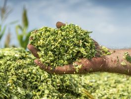 Egy teljes év egy napi munkában