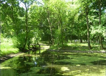 Kastélypark Borsodivánka