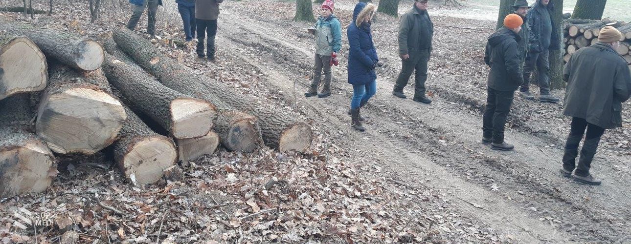 Ismét egy szakmai program helyszíne volt a soproni erdő