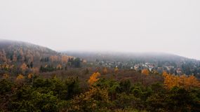 20 éves a Sörházdombi kilátó