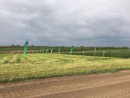 Szántóföldi Takarmánynövények Fajtabemutató 2017 - Paks