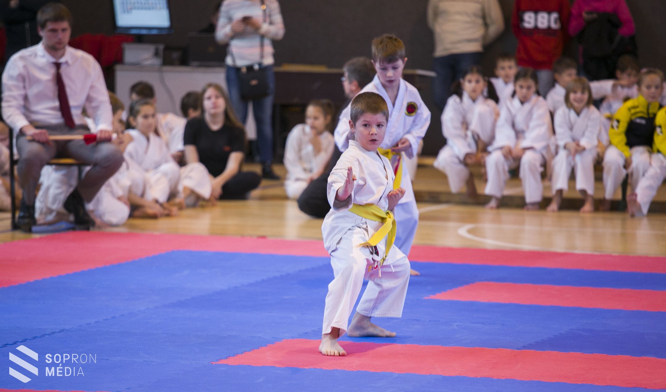 II. Tigrisek Karate Kupa!