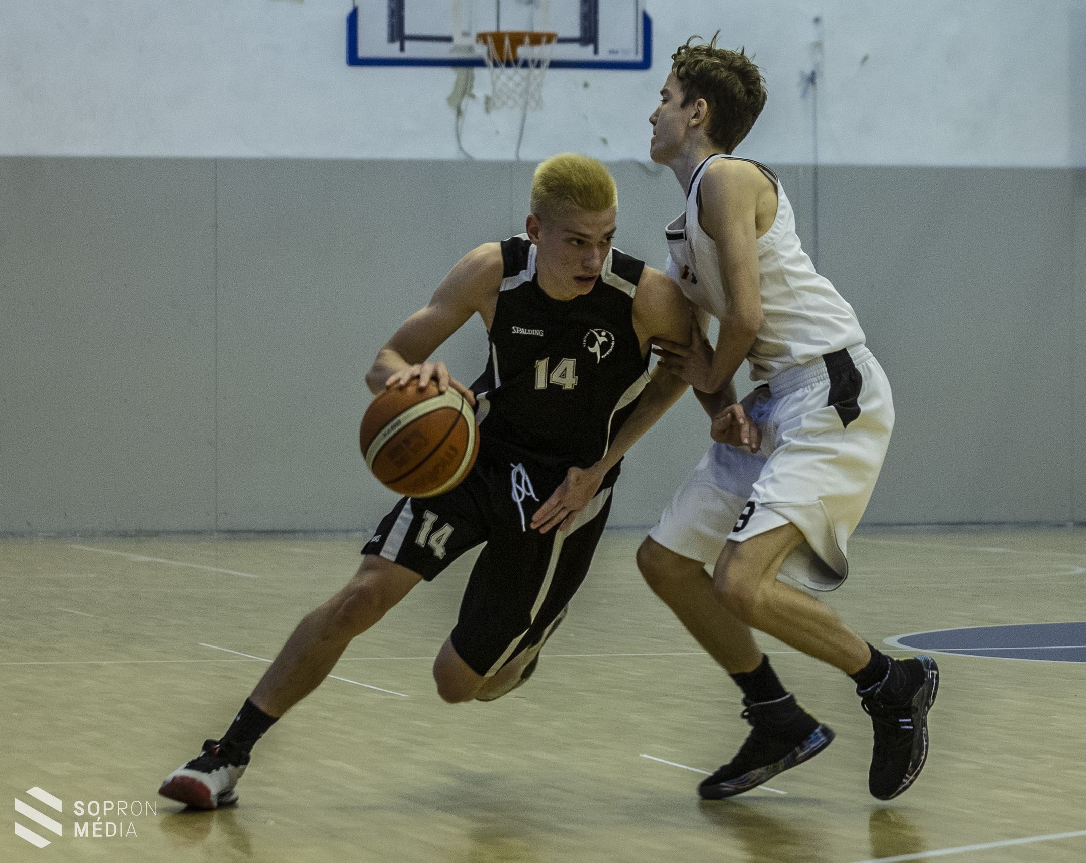 Kosárlabda - Sopron ad otthont a Fiú Kadett Országos Döntőnek