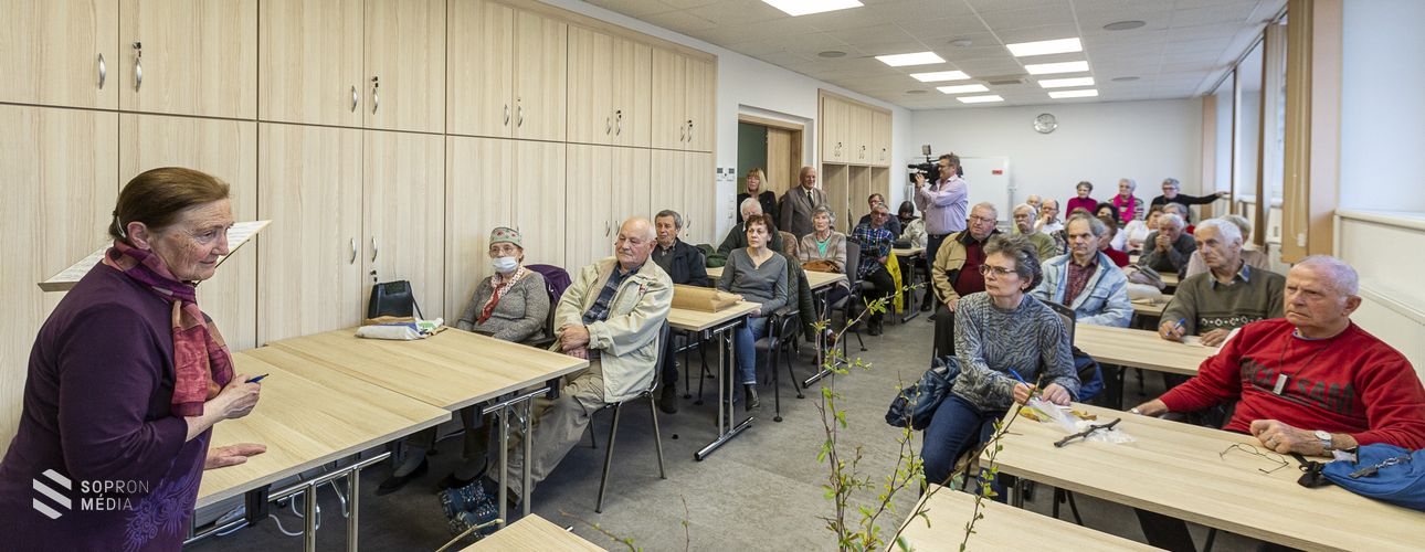 Kertünk ékessége a diófa