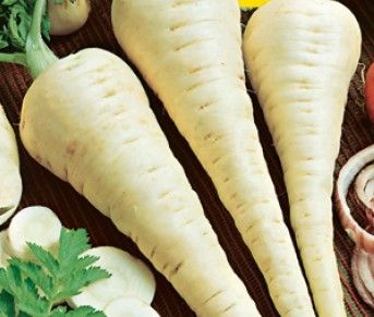 Petrezselyem Korai cukor  50 g termék képe