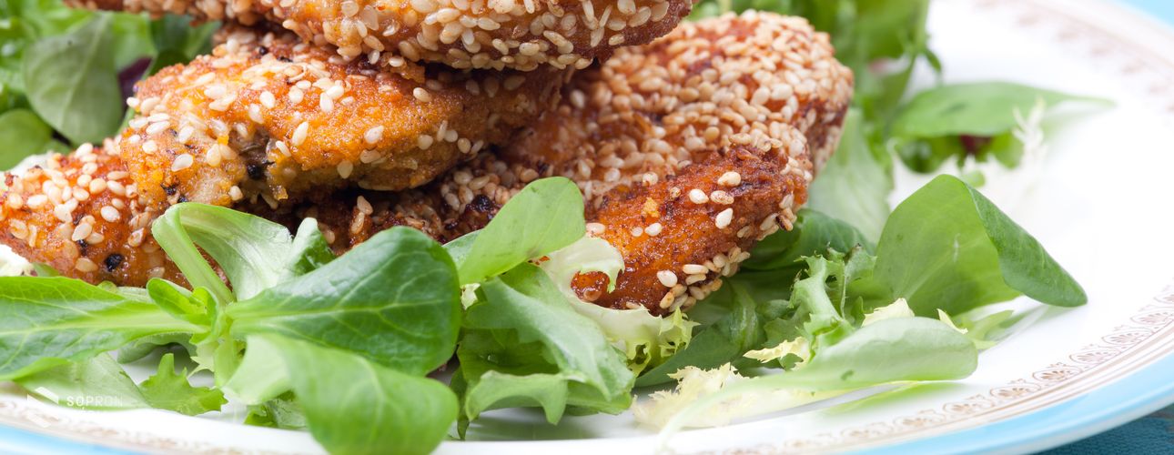 Bemutatjuk Sopron új gyermekétkeztetőjét, az Eatrend Magyarországot