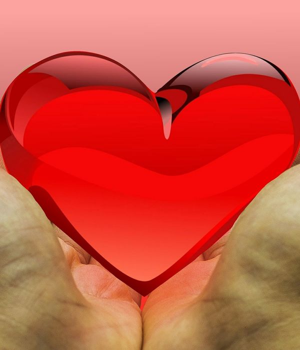 Zoknit, csokit, sőt, fürdőruhát is gyűjt a Líceum az adventben