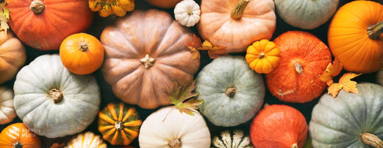 Amiért a tökféléket fogyasztani érdemes