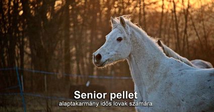 EQUUSLINE SENIOR PELLET-alaptakarmány idős lovak számára 20kg