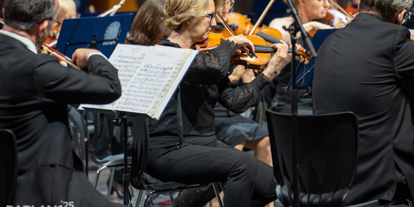 Star Wars from Vienna